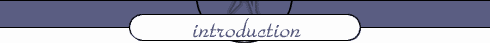 Introduction